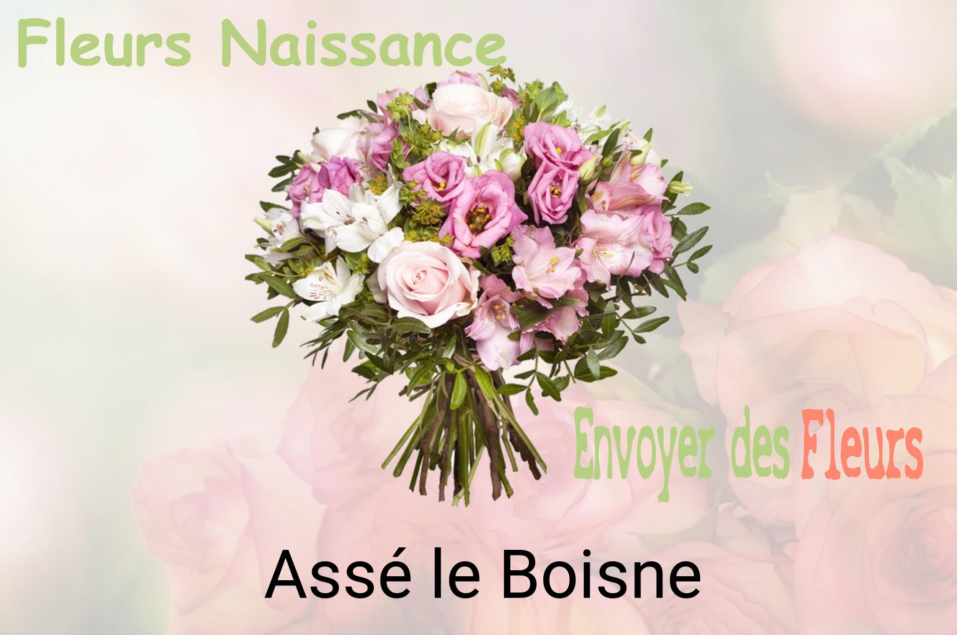 Bouquet de fleurs de naissance livré à Assé-le-Boisne